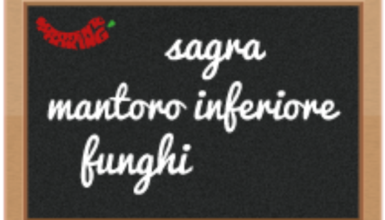 Festa del Fungo Porcino e dei Sapori del Borgo