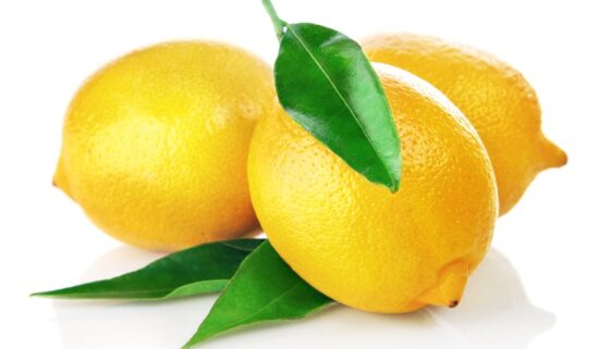 Limoni di Sorrento